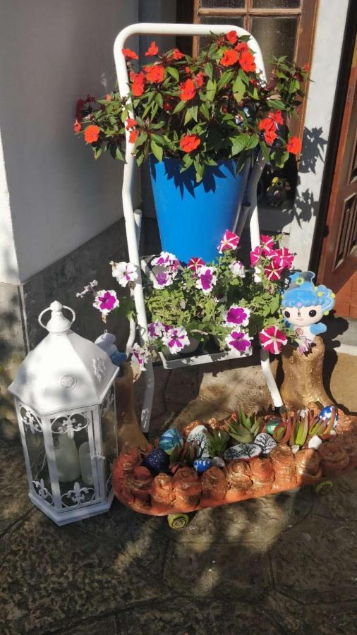 Casa Birre Guesthouse Gasthof
